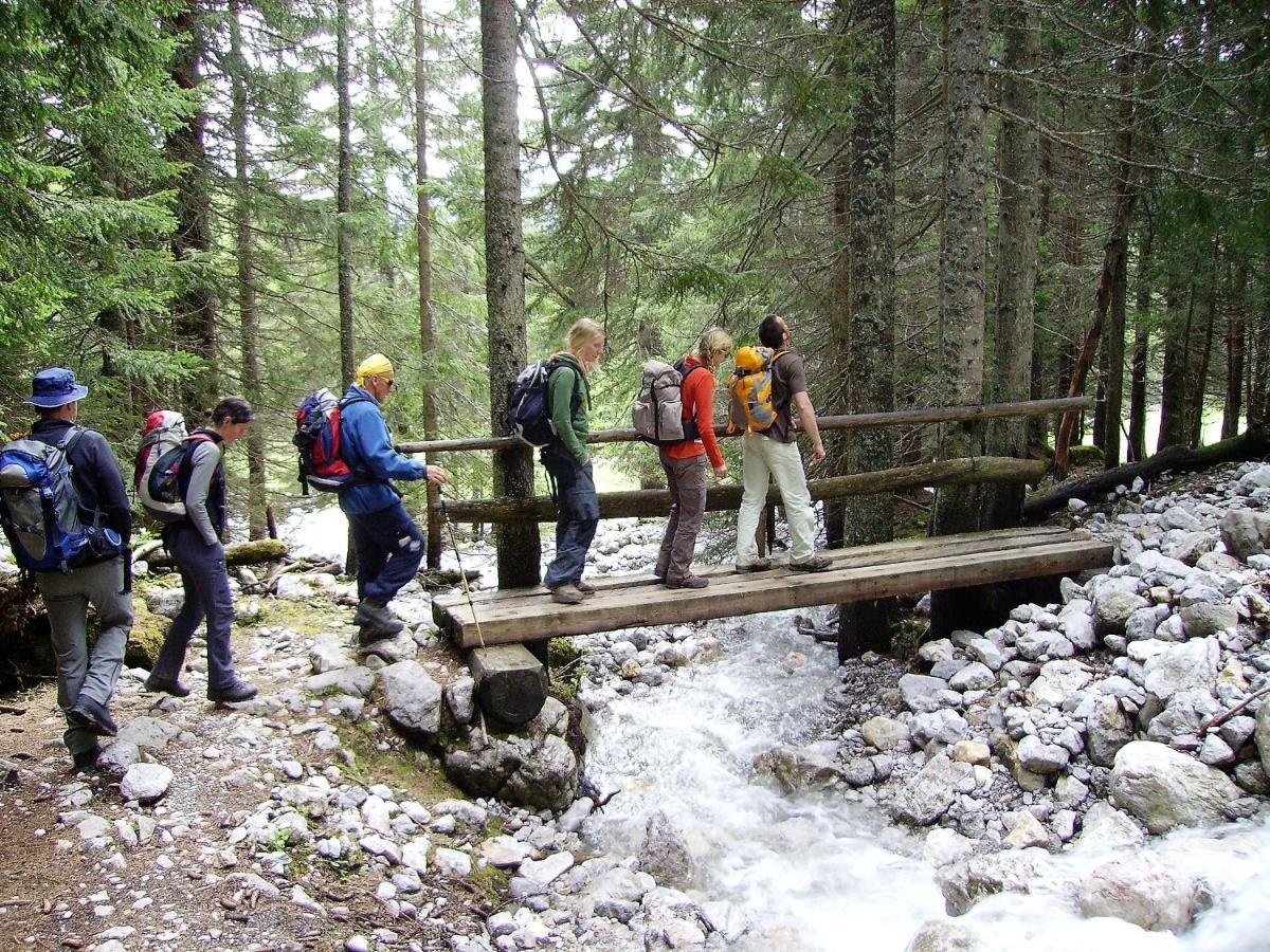 Chalet 49 Nesselgraben - Ferienwohnungen Aus Holz Koppl Extérieur photo