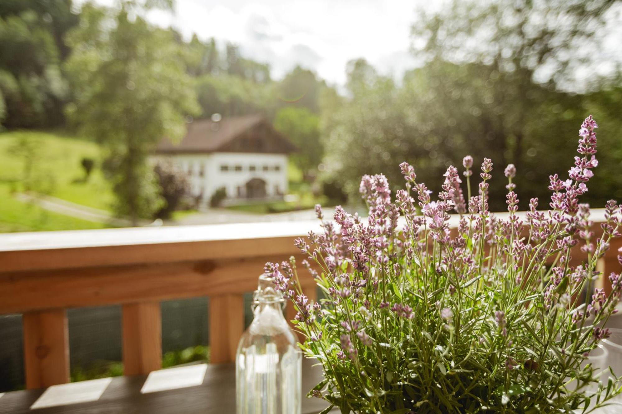 Chalet 49 Nesselgraben - Ferienwohnungen Aus Holz Koppl Extérieur photo