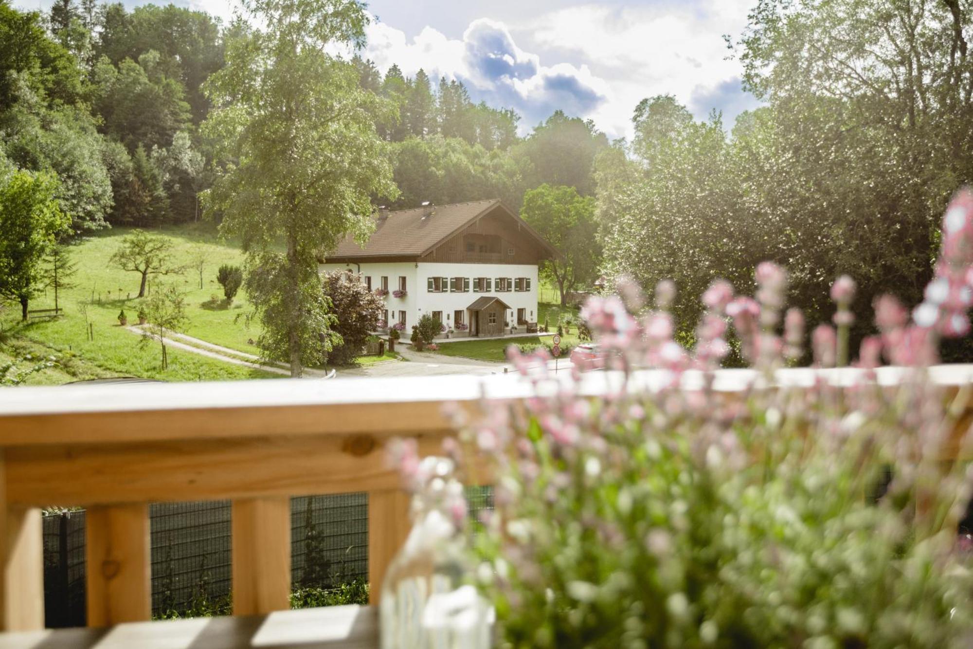 Chalet 49 Nesselgraben - Ferienwohnungen Aus Holz Koppl Extérieur photo