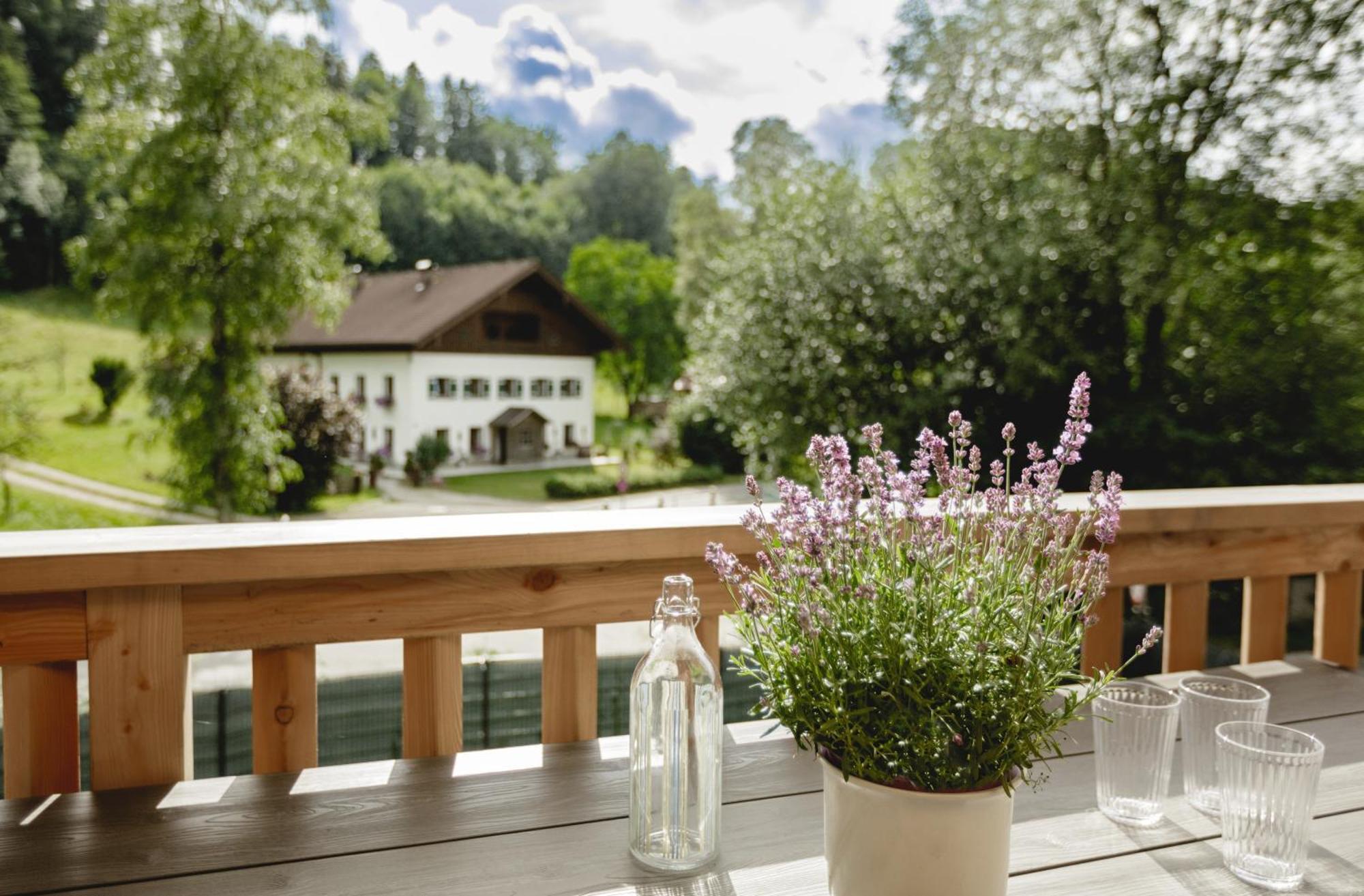 Chalet 49 Nesselgraben - Ferienwohnungen Aus Holz Koppl Extérieur photo